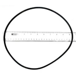 Zodiac - Backplate O-Ring