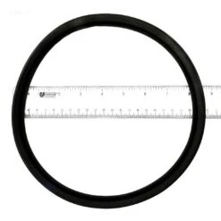 Epp - Gasket, Filter Head