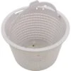 CMP - Skimmer Basket Generic Replacement For B-9, Hayward SP1070